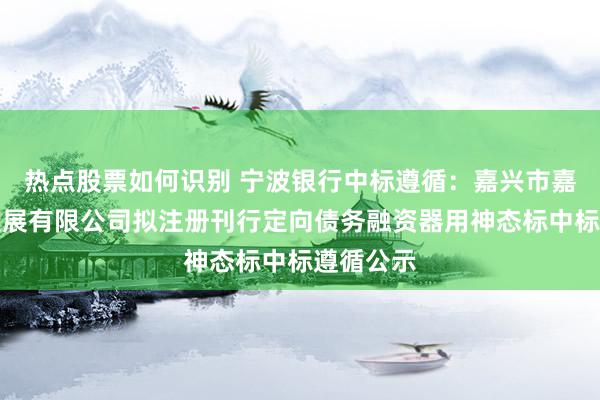 热点股票如何识别 宁波银行中标遵循：嘉兴市嘉南投资发展有限公司拟注册刊行定向债务融资器用神态标中标遵循公示