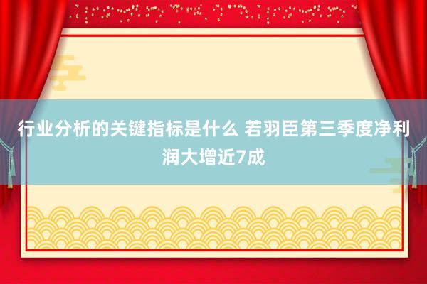 行业分析的关键指标是什么 若羽臣第三季度净利润大增近7成