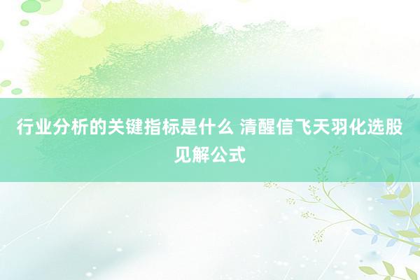 行业分析的关键指标是什么 清醒信飞天羽化选股见解公式