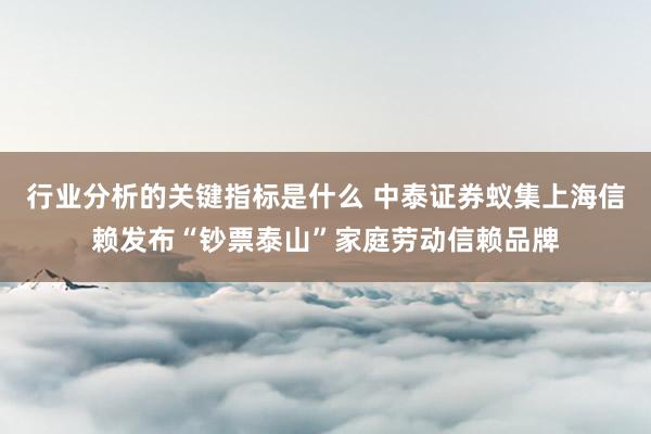 行业分析的关键指标是什么 中泰证券蚁集上海信赖发布“钞票泰山”家庭劳动信赖品牌