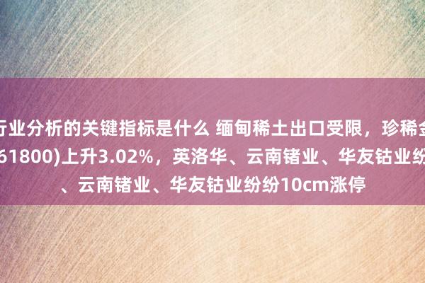 行业分析的关键指标是什么 缅甸稀土出口受限，珍稀金属ETF基金(561800)上升3.02%，英洛华、云南锗业、华友钴业纷纷10cm涨停