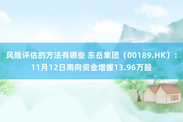 风险评估的方法有哪些 东岳集团（00189.HK）：11月12日南向资金增握13.96万股