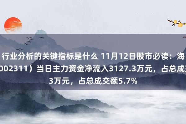 行业分析的关键指标是什么 11月12日股市必读：海大集团（002311）当日主力资金净流入3127.3万元，占总成交额5.7%