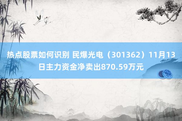 热点股票如何识别 民爆光电（301362）11月13日主力资金净卖出870.59万元