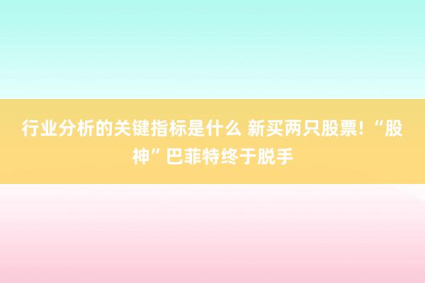 行业分析的关键指标是什么 新买两只股票! “股神”巴菲特终于脱手