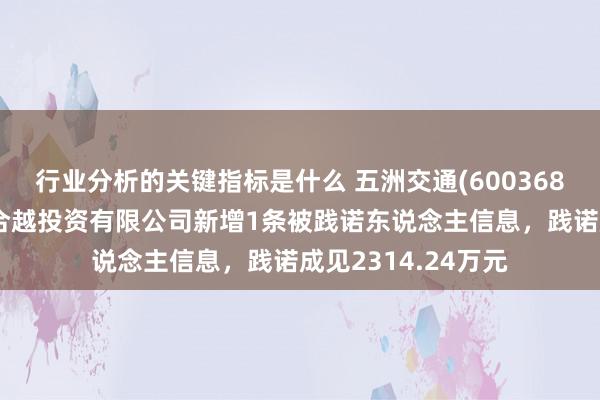 行业分析的关键指标是什么 五洲交通(600368)控股的广西凭祥合越投资有限公司新增1条被践诺东说念主信息，践诺成见2314.24万元