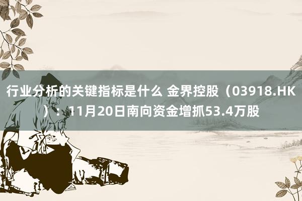 行业分析的关键指标是什么 金界控股（03918.HK）：11月20日南向资金增抓53.4万股