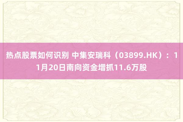 热点股票如何识别 中集安瑞科（03899.HK）：11月20日南向资金增抓11.6万股