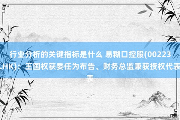 行业分析的关键指标是什么 易糊口控股(00223.HK)：王国权获委任为布告、财务总监兼获授权代表