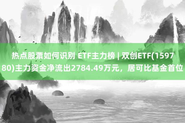 热点股票如何识别 ETF主力榜 | 双创ETF(159780)主力资金净流出2784.49万元，居可比基金首位