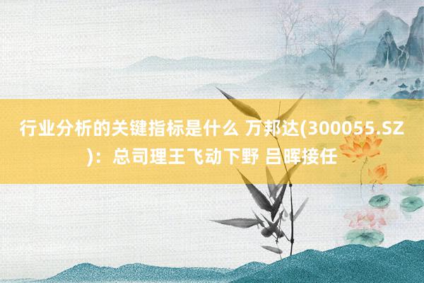 行业分析的关键指标是什么 万邦达(300055.SZ)：总司理王飞动下野 吕晖接任