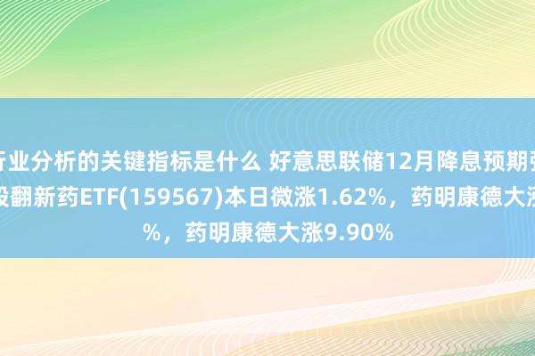 行业分析的关键指标是什么 好意思联储12月降息预期强化！港股翻新药ETF(159567)本日微涨1.62%，药明康德大涨9.90%