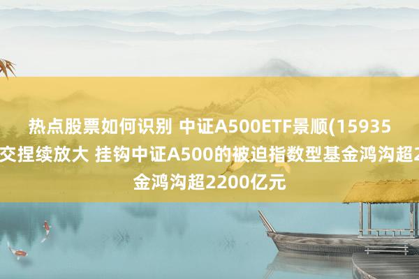 热点股票如何识别 中证A500ETF景顺(159353)盘中成交捏续放大 挂钩中证A500的被迫指数型基金鸿沟超2200亿元