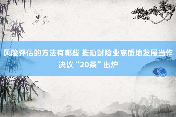 风险评估的方法有哪些 推动财险业高质地发展当作决议“20条”出炉