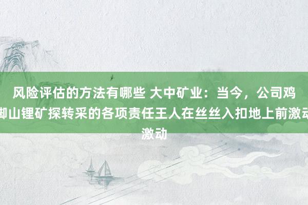 风险评估的方法有哪些 大中矿业：当今，公司鸡脚山锂矿探转采的各项责任王人在丝丝入扣地上前激动