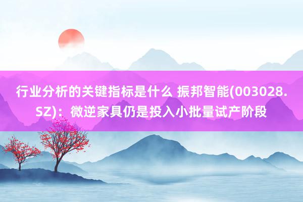 行业分析的关键指标是什么 振邦智能(003028.SZ)：微逆家具仍是投入小批量试产阶段