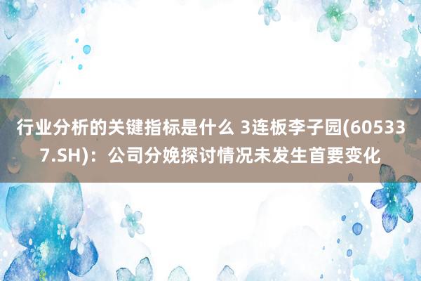 行业分析的关键指标是什么 3连板李子园(605337.SH)：公司分娩探讨情况未发生首要变化