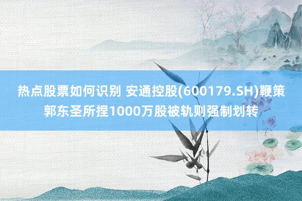 热点股票如何识别 安通控股(600179.SH)鞭策郭东圣所捏1000万股被轨则强制划转