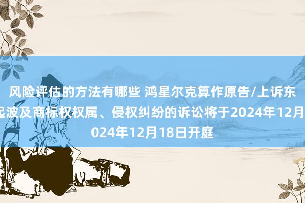 风险评估的方法有哪些 鸿星尔克算作原告/上诉东谈主的1起波及商标权权属、侵权纠纷的诉讼将于2024年12月18日开庭