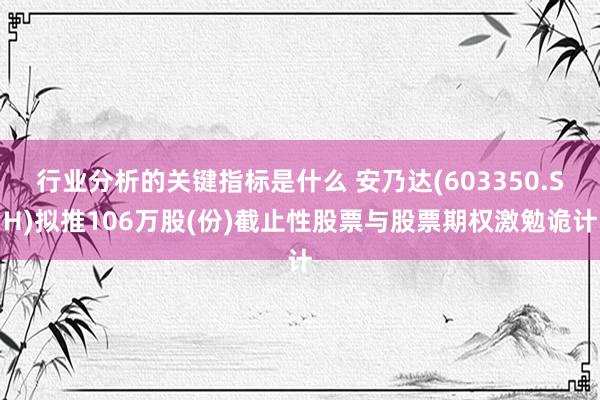 行业分析的关键指标是什么 安乃达(603350.SH)拟推106万股(份)截止性股票与股票期权激勉诡计