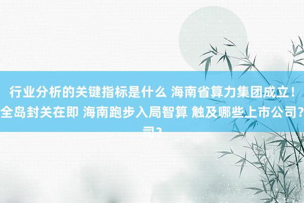 行业分析的关键指标是什么 海南省算力集团成立！全岛封关在即 海南跑步入局智算 触及哪些上市公司？