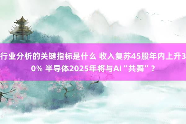 行业分析的关键指标是什么 收入复苏45股年内上升30% 半导体2025年将与AI“共舞”？