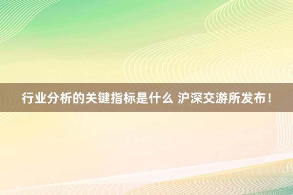 行业分析的关键指标是什么 沪深交游所发布！