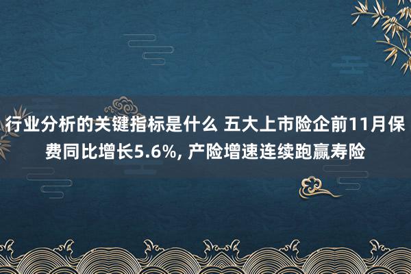 行业分析的关键指标是什么 五大上市险企前11月保费同比增长5.6%, 产险增速连续跑赢寿险