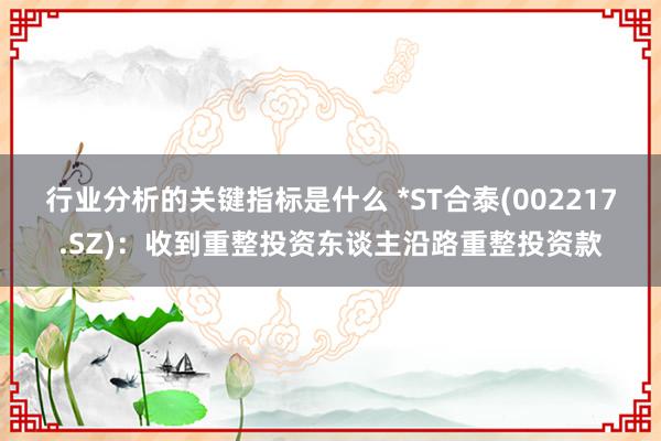 行业分析的关键指标是什么 *ST合泰(002217.SZ)：收到重整投资东谈主沿路重整投资款