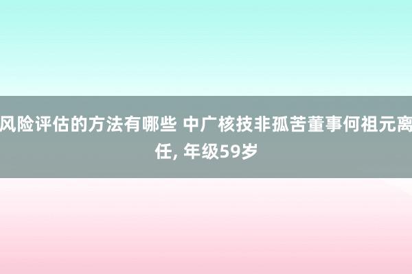 风险评估的方法有哪些 中广核技非孤苦董事何祖元离任, 年级59岁