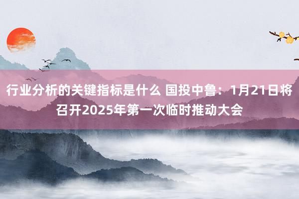 行业分析的关键指标是什么 国投中鲁：1月21日将召开2025年第一次临时推动大会