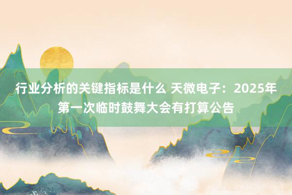 行业分析的关键指标是什么 天微电子：2025年第一次临时鼓舞大会有打算公告