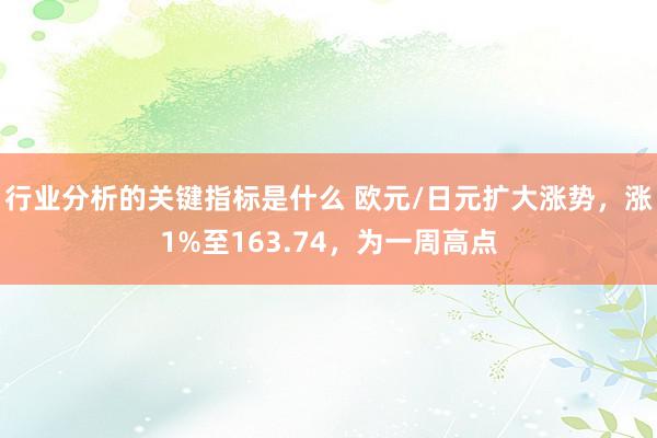 行业分析的关键指标是什么 欧元/日元扩大涨势，涨1%至163.74，为一周高点