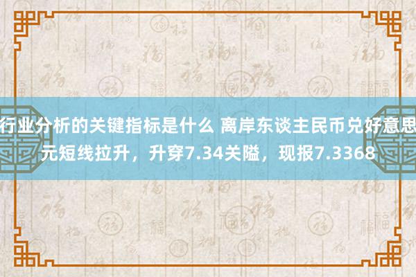 行业分析的关键指标是什么 离岸东谈主民币兑好意思元短线拉升，升穿7.34关隘，现报7.3368