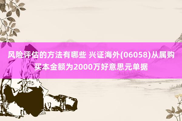 风险评估的方法有哪些 兴证海外(06058)从属购买本金额为2000万好意思元单据