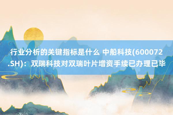 行业分析的关键指标是什么 中船科技(600072.SH)：双瑞科技对双瑞叶片增资手续已办理已毕