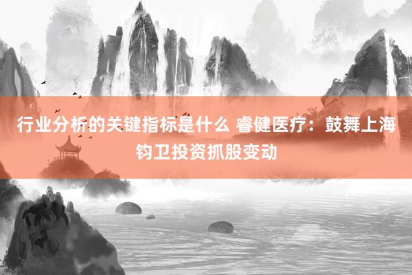 行业分析的关键指标是什么 睿健医疗：鼓舞上海钧卫投资抓股变动