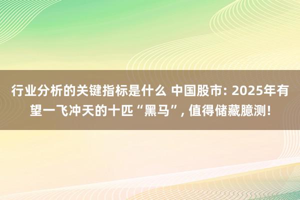 行业分析的关键指标是什么 中国股市: 2025年有望一飞冲天的十匹“黑马”, 值得储藏臆测!