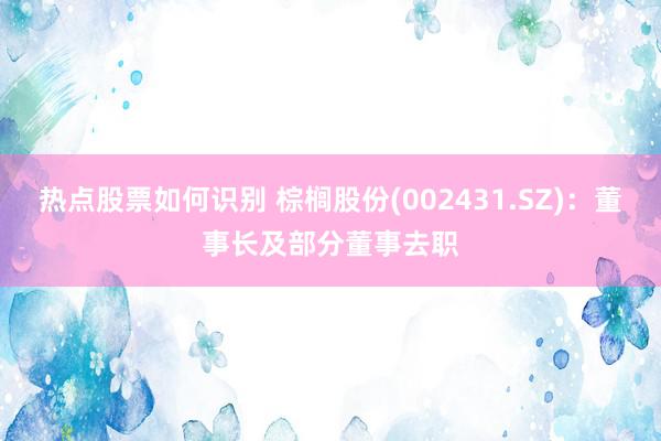 热点股票如何识别 棕榈股份(002431.SZ)：董事长及部分董事去职