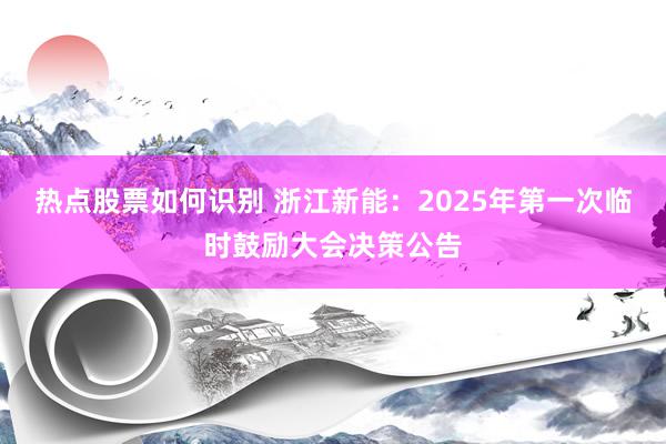 热点股票如何识别 浙江新能：2025年第一次临时鼓励大会决策公告