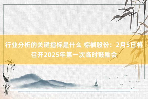 行业分析的关键指标是什么 棕榈股份：2月5日将召开2025年第一次临时鼓励会