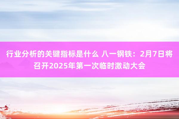 行业分析的关键指标是什么 八一钢铁：2月7日将召开2025年第一次临时激动大会