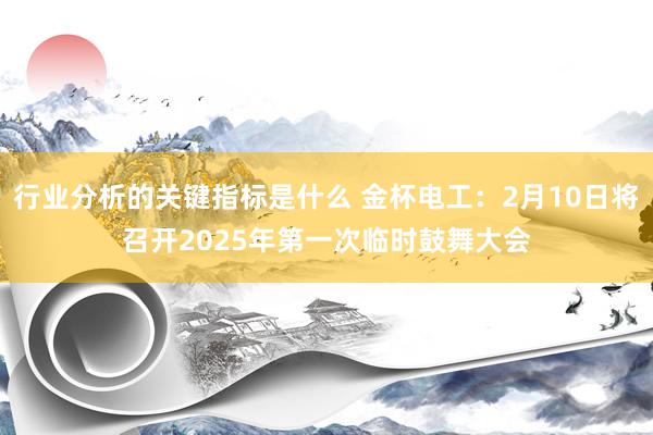 行业分析的关键指标是什么 金杯电工：2月10日将召开2025年第一次临时鼓舞大会