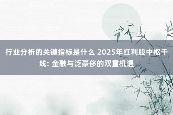 行业分析的关键指标是什么 2025年红利股中枢干线: 金融与泛豪侈的双重机遇