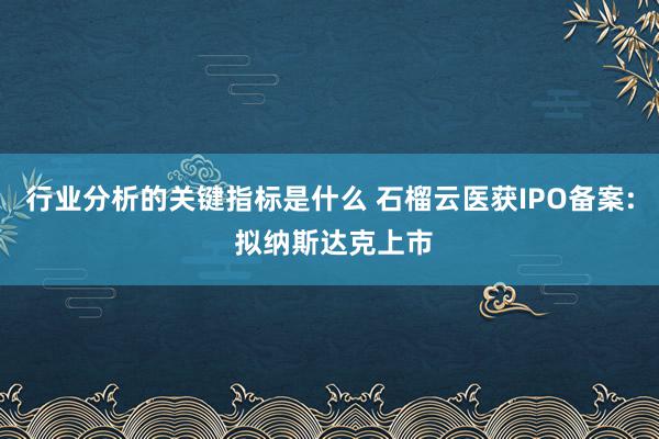 行业分析的关键指标是什么 石榴云医获IPO备案: 拟纳斯达克上市