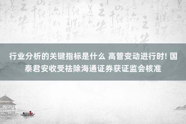 行业分析的关键指标是什么 高管变动进行时! 国泰君安收受祛除海通证券获证监会核准