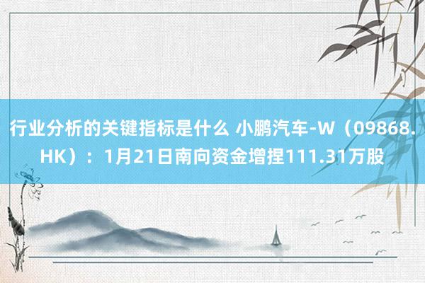 行业分析的关键指标是什么 小鹏汽车-W（09868.HK）：1月21日南向资金增捏111.31万股