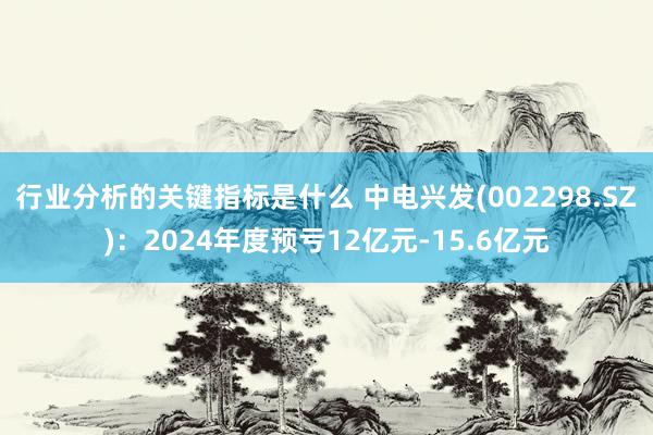 行业分析的关键指标是什么 中电兴发(002298.SZ)：2024年度预亏12亿元-15.6亿元