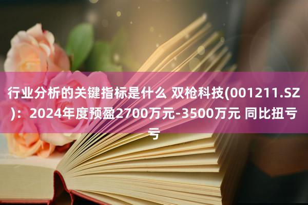 行业分析的关键指标是什么 双枪科技(001211.SZ)：2024年度预盈2700万元-3500万元 同比扭亏