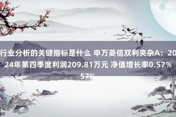 行业分析的关键指标是什么 申万菱信双利夹杂A：2024年第四季度利润209.81万元 净值增长率0.57%